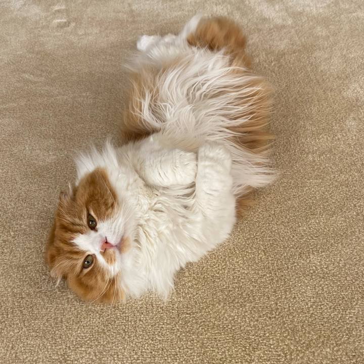 6b789c1e 7591 4eef 8433 1dc1b38e013b 1607400998367