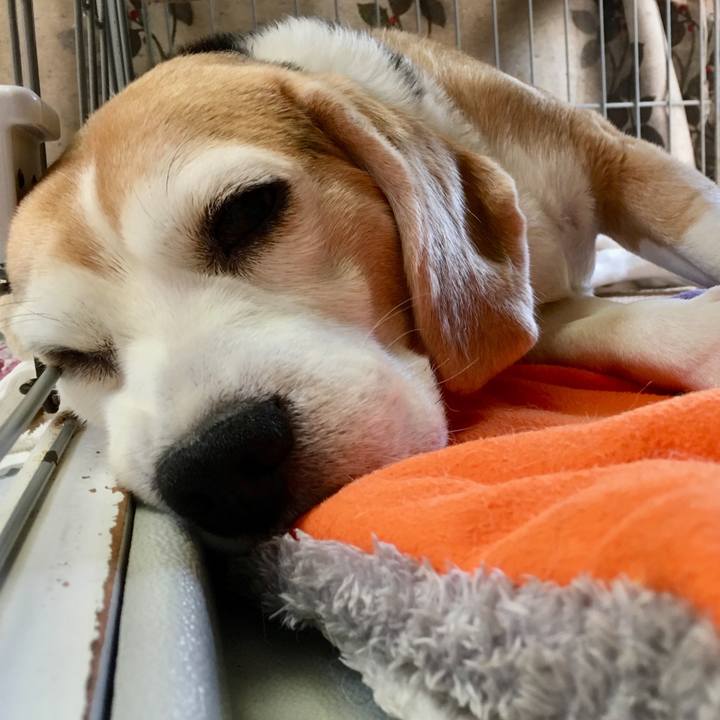 6b78a7d3 43fc 43e4 bbe6 4fabb2780d2a 1558932086388