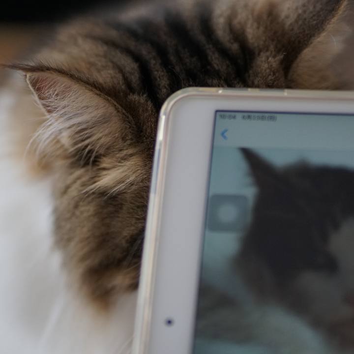 6b78edc1 60b5 42b1 8074 aa2069dcc4d1 1561290173146