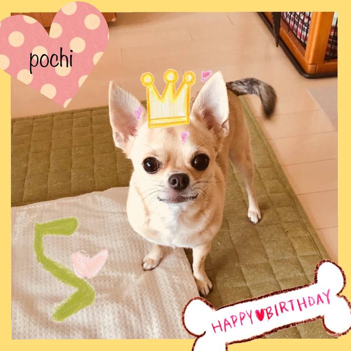 6b78f98a 4c20 44b9 883b 68ee3f0713f3 1536792969961