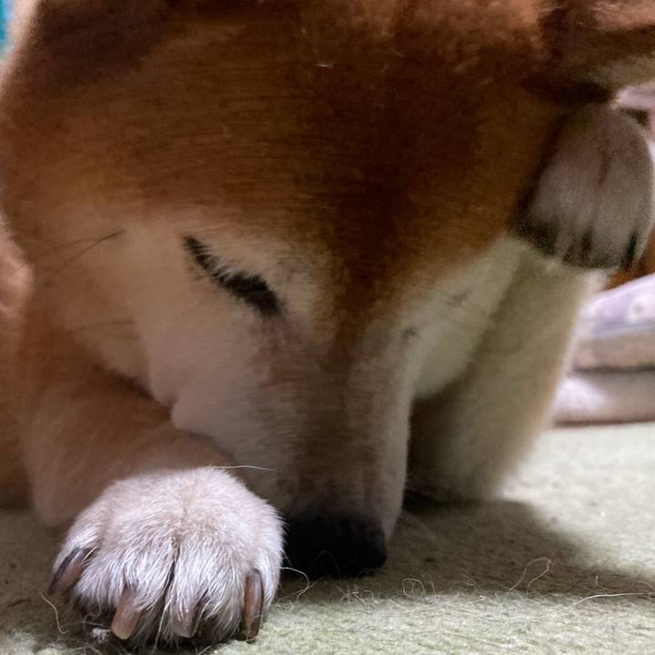 6b79065e 7d86 4b6e ae95 ff0f42fdbcf4 1690152850898