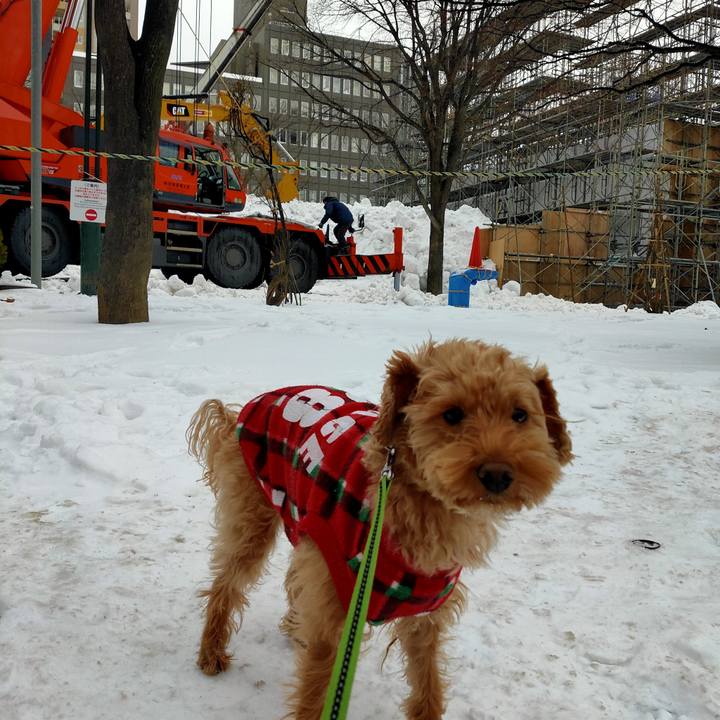 6b790c0b f950 45b5 ae12 e84bbe0396de 1578873918693