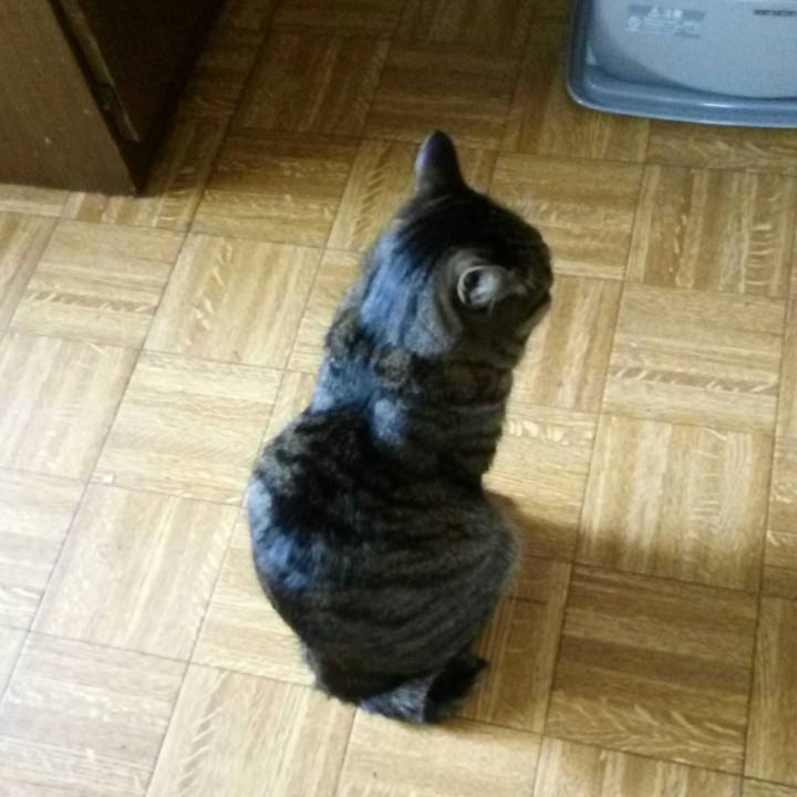 6b791bc8 cf3a 420a b5d4 58382ddce753 1524178144060