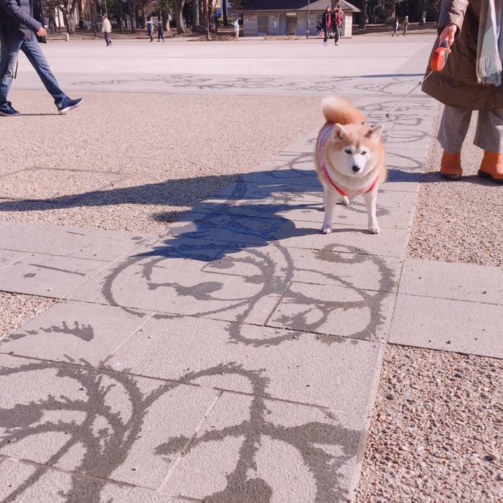 6b791e64 8303 422e be44 0733891826d2 1546752125386