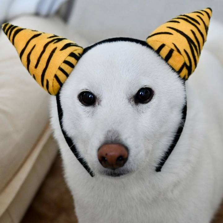 6b793b5a 1c5d 46de 9c38 fa46f821d9b0 1770109897839