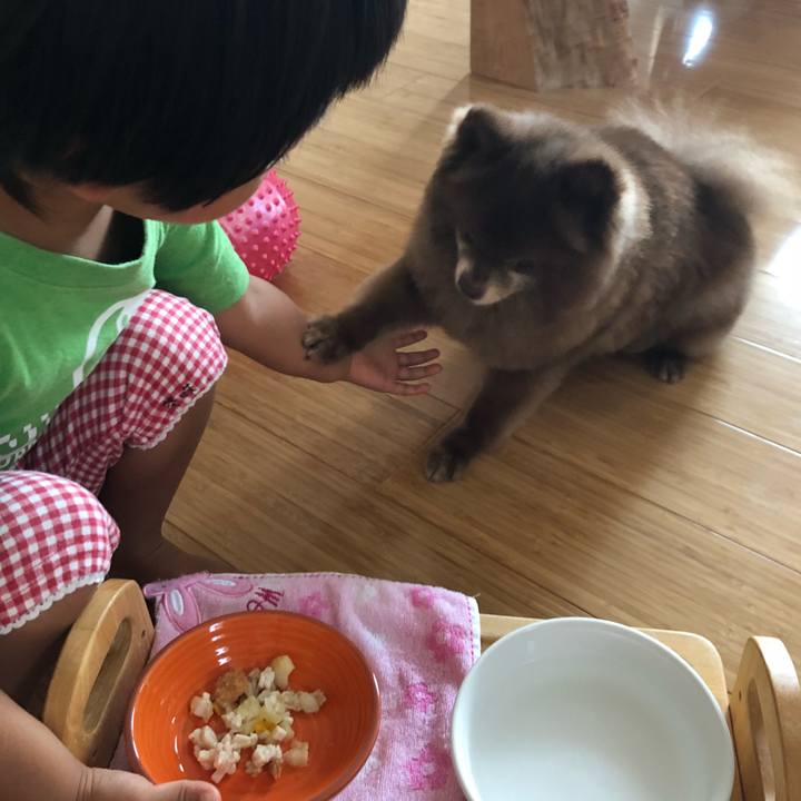 6b7945dd c899 4ac4 b6a9 f4582b31275d 1567393268519