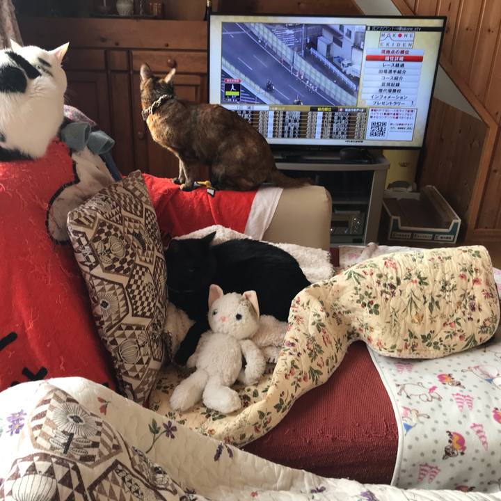 6b794e75 0706 4708 b8fd c219c5fef2c3 1641081210872