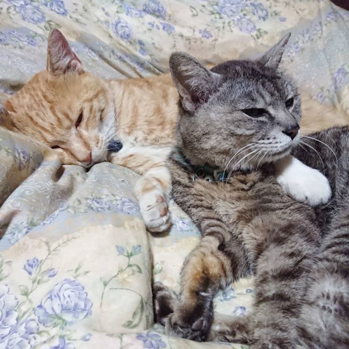 6b7957ea a4f1 4f4c b472 4aa0f23f2f8a 1563027736631