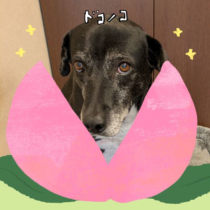 6b795ec9 9d3d 4d8c a2c6 afa044ba49e4 1771926032556