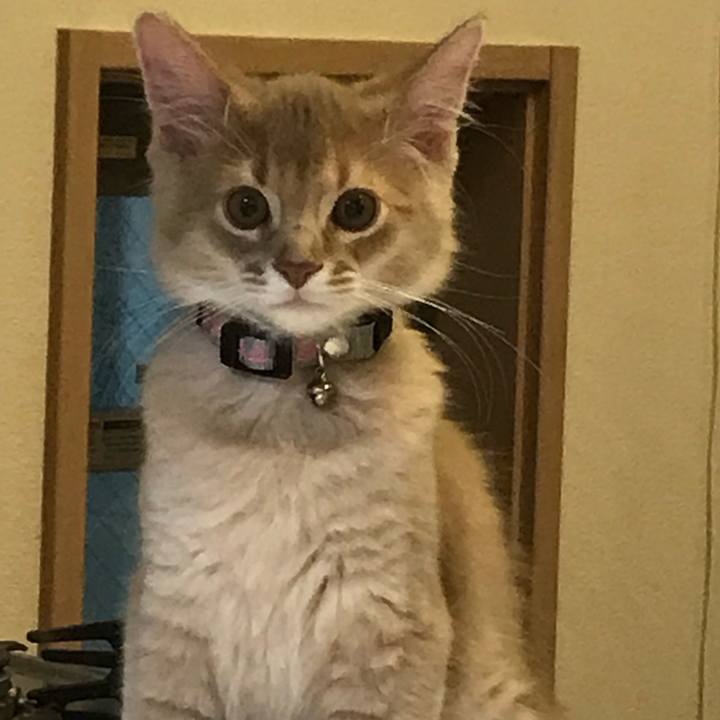 6b79660e bf7c 40a6 ac0c 41266d0bcc7e 1544926409638