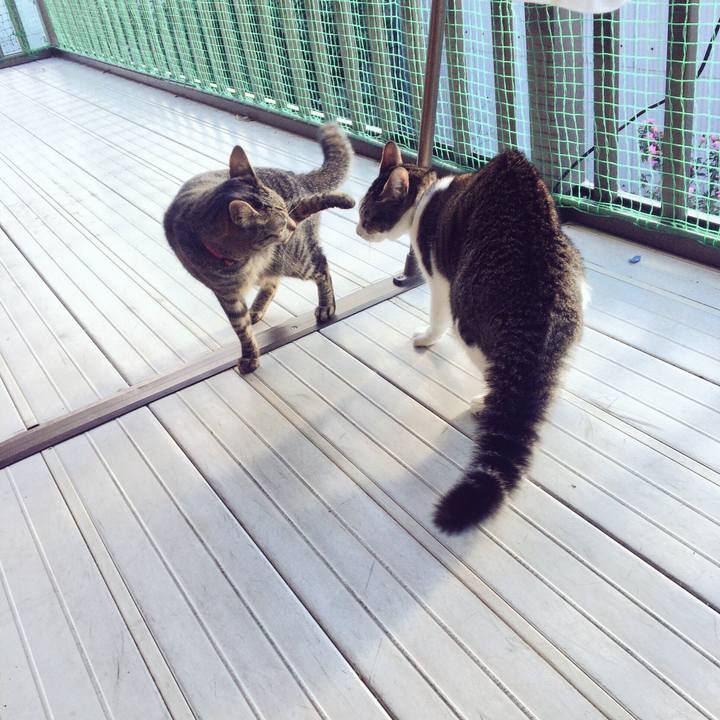 6b798a7d 1836 4477 9ed0 841cd1abd24b 1512519491375