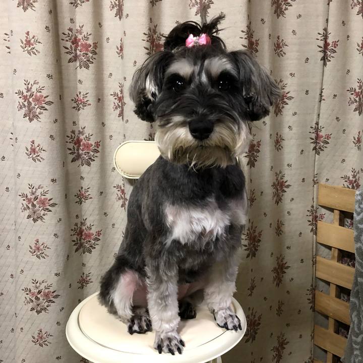 6b79a6c7 c51d 46ad 8fdb 64587d05af8d 1516367005989