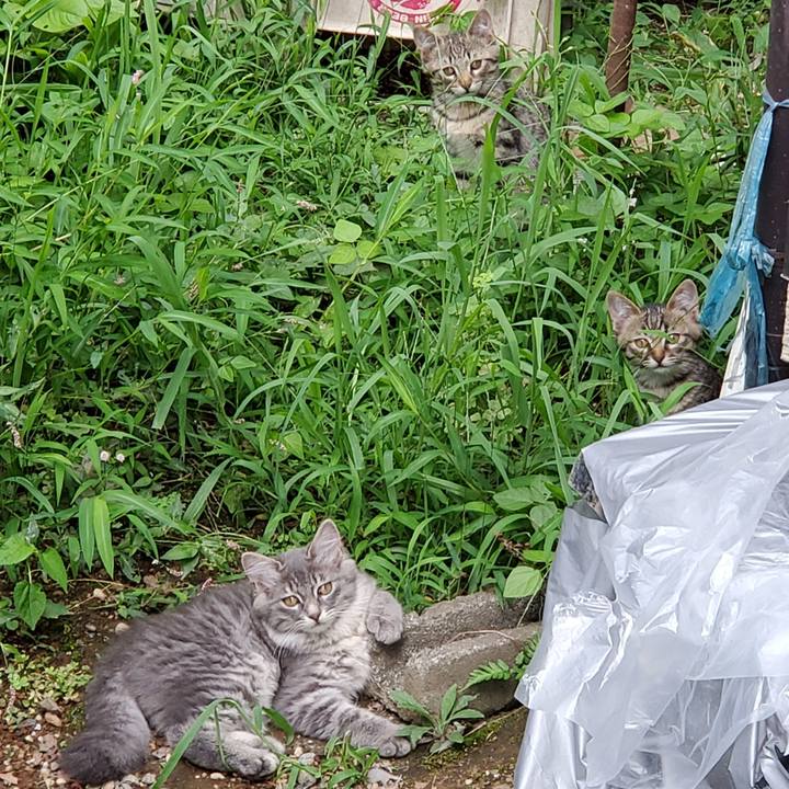 6b79d32e 1896 449c 9fa3 0a272a3a1554 1684205302085