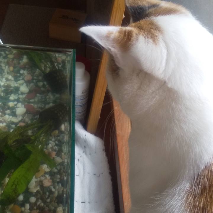 6b79da03 5a68 493a 8118 f166a2fa4ee9 1680237141810