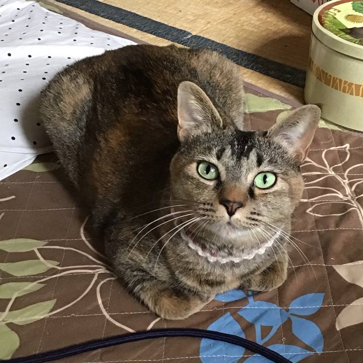 6b79f952 7613 4c2e af76 f8342ff70f0f 1652755451844