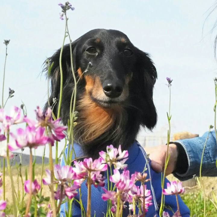 6b7a295c 2d1c 4dfe a7b3 46ed18927728 1586931589109