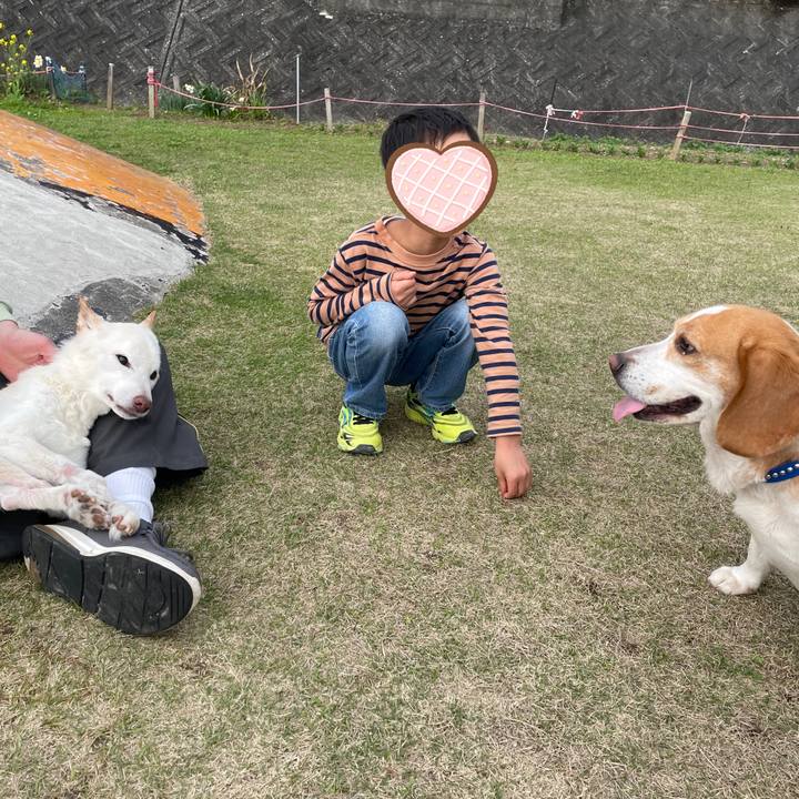 6b7a5c49 746d 418f 999f f47c0226c572 1679652941445