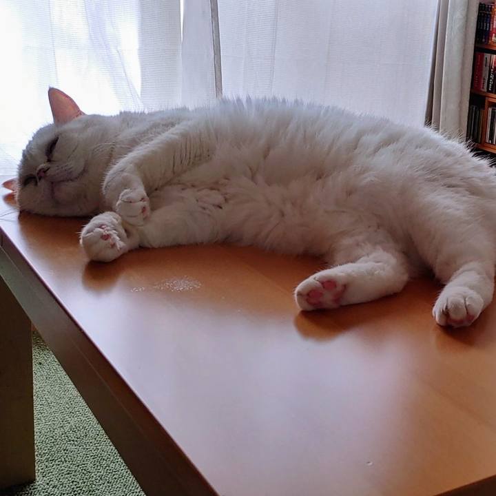 6b7a78c1 191b 4d3c 998d 031266d1ab03 1648342412468