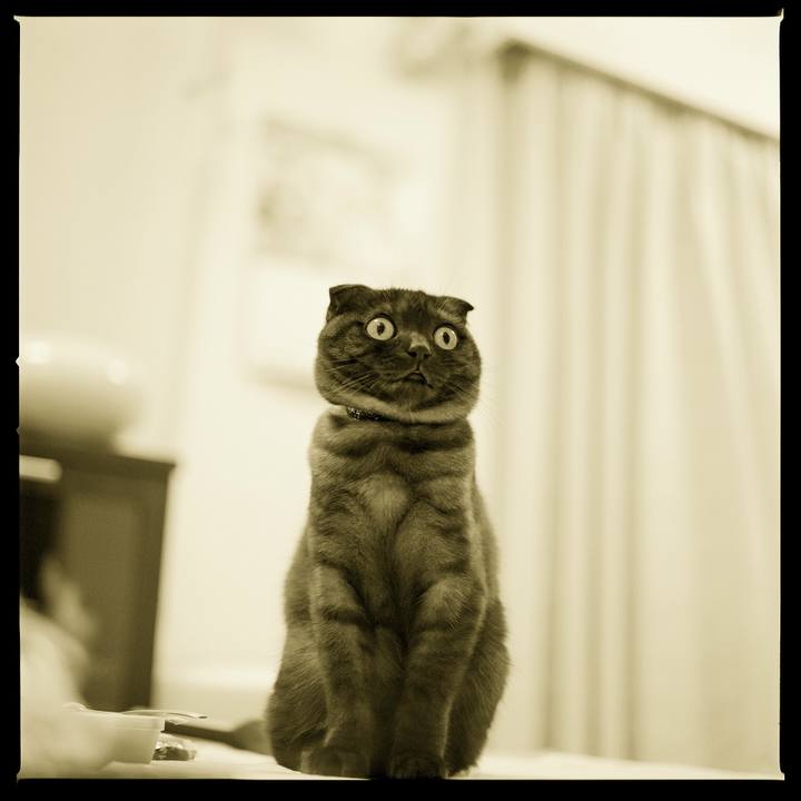 6b7a9cde 21e6 4f0d 9588 9dcf002a154e 1585064966492