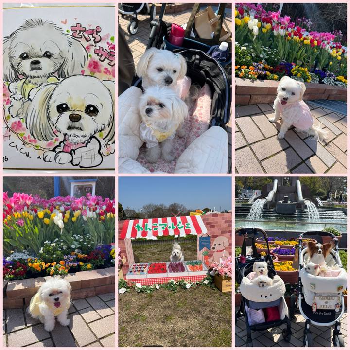 6b7a9fca fb76 4a68 bfc3 7594ab864323 1710586385105