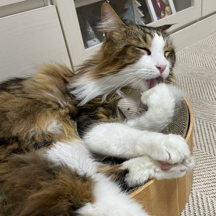 6b7ac345 e50f 4669 95d1 4088df6c8af6 1675162592940