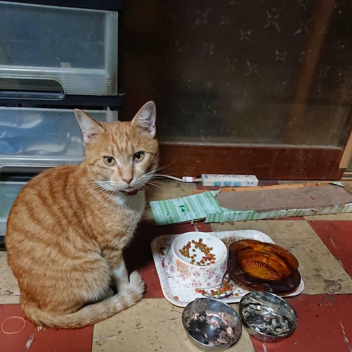 6b7ad407 b40c 4d05 957b f8072891a180 1570531530092