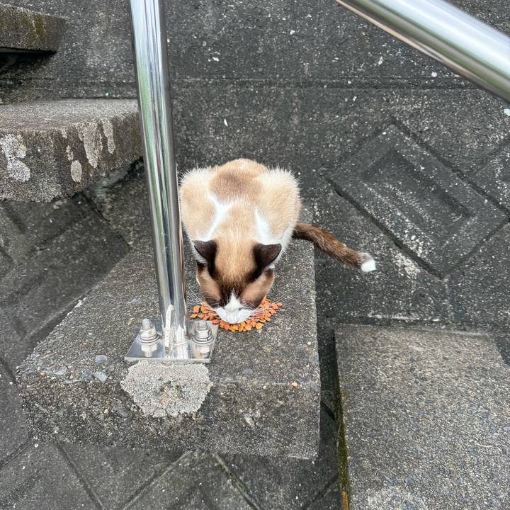 6b7b0304 bda4 4d90 8bb9 17a0d4ce8252 1721309156945