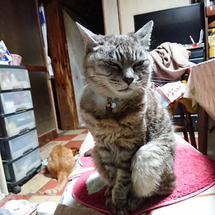 6b7b0b0d 7ec4 451d 9095 c76eac1e86d2 1569354243097