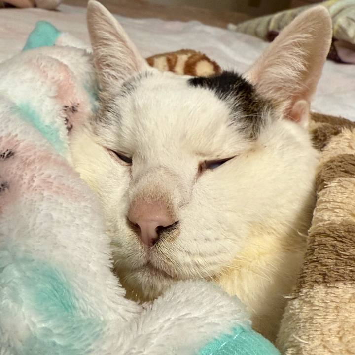 6b7b4f17 8eb8 419e 8a4c 512a1842ab63 1769174951172