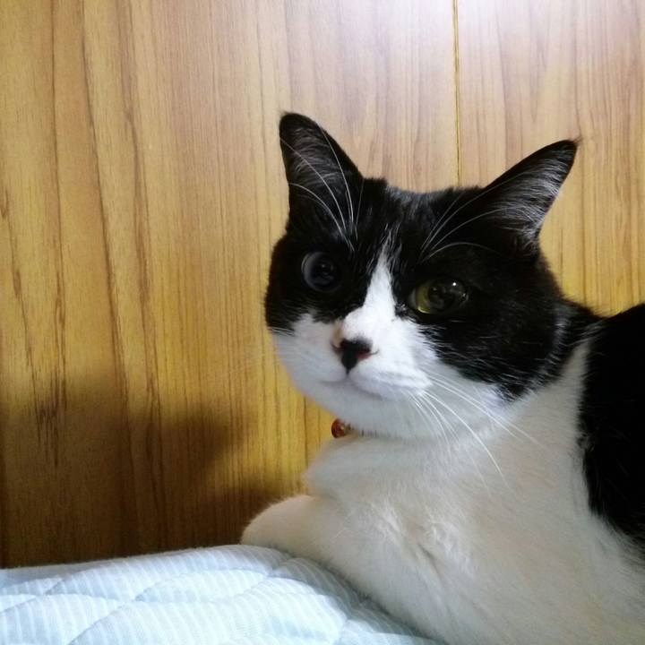 6b7b5a56 11db 4cd7 9344 ea15f082ed85 1527778236398