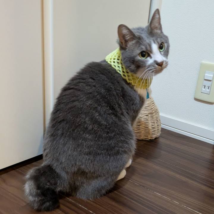 6b7b5b57 cf7d 4c28 b38c d3298dc4bdb4 1732624667690