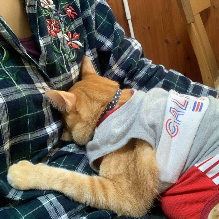 6b7b639f 659f 44c5 9a50 7898c68601bf 1620008606252