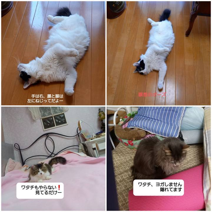 6b7b7876 f095 486c 9e2d a521925d8b3c 1613695077044