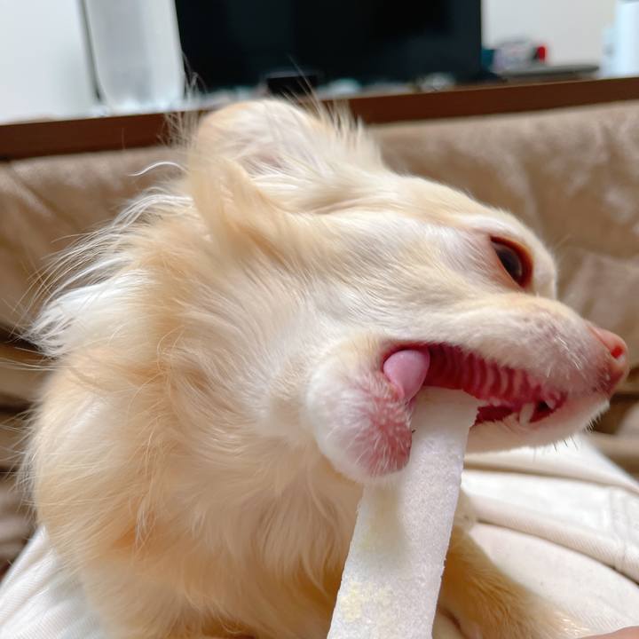 6b7b8380 b091 4a42 8483 be73de27bf6e 1650629515407