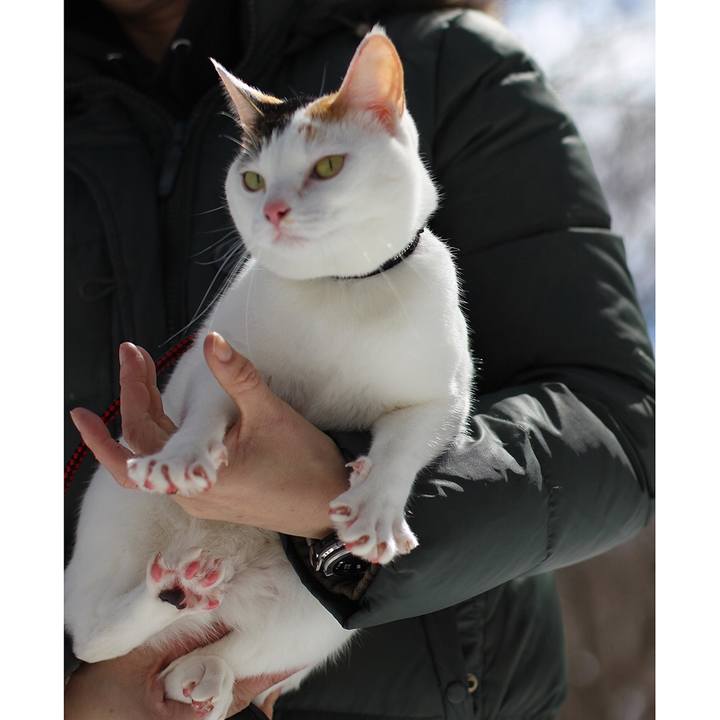 6b7bd318 99c9 4fe4 b40b 16fe162b920a 1586084282826