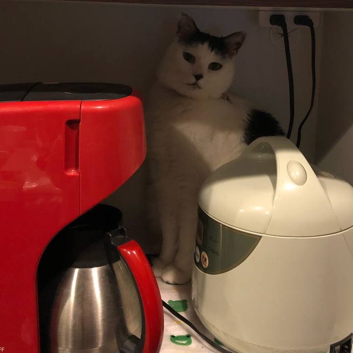 6b7bd97c 1f55 4d55 8e75 1b17d4fd8d39 1543415929501