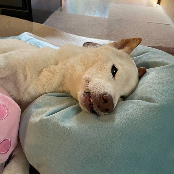 6b7be0ad 454f 49b1 8ccd 3faf59f794c3 1666156586096