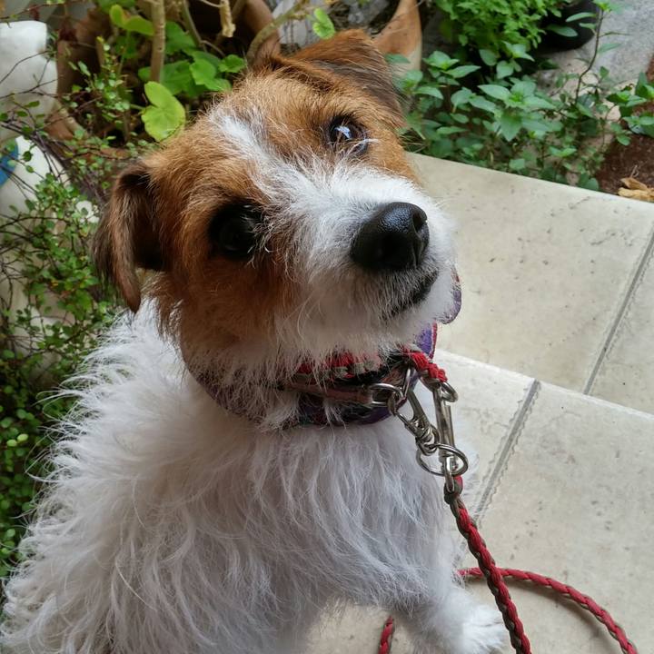 6b7c17b3 c698 4193 98bc afdb0bfa2359 1538186301771