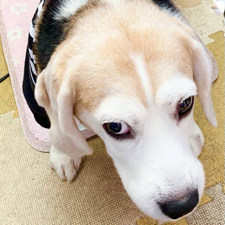 6b7c342f 74d1 44ad 8e85 fc59a9cc44e8 1615348223005