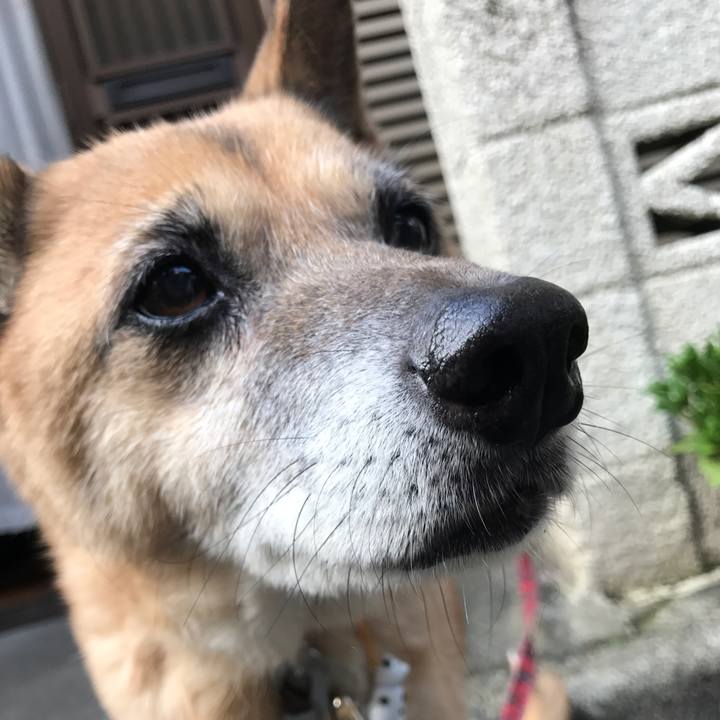 6b7c5ee7 a515 47c3 9991 4fc84cee26ca 1507761544206