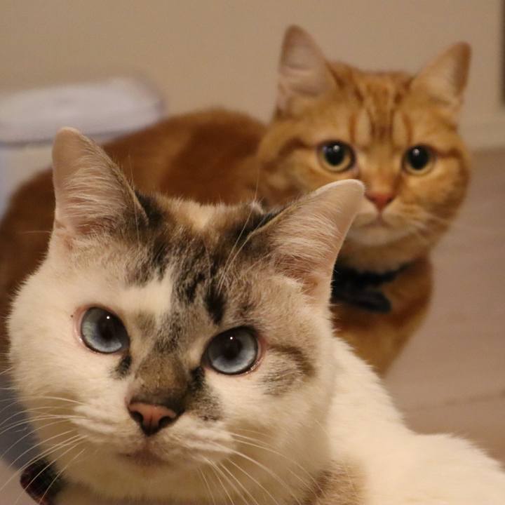 6b7c708b 8327 48e0 b821 fa59d2c0c9fc 1580632020170