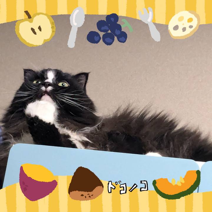 6b7ce2d8 5956 49ea a206 8f17a4444753 1726874297164