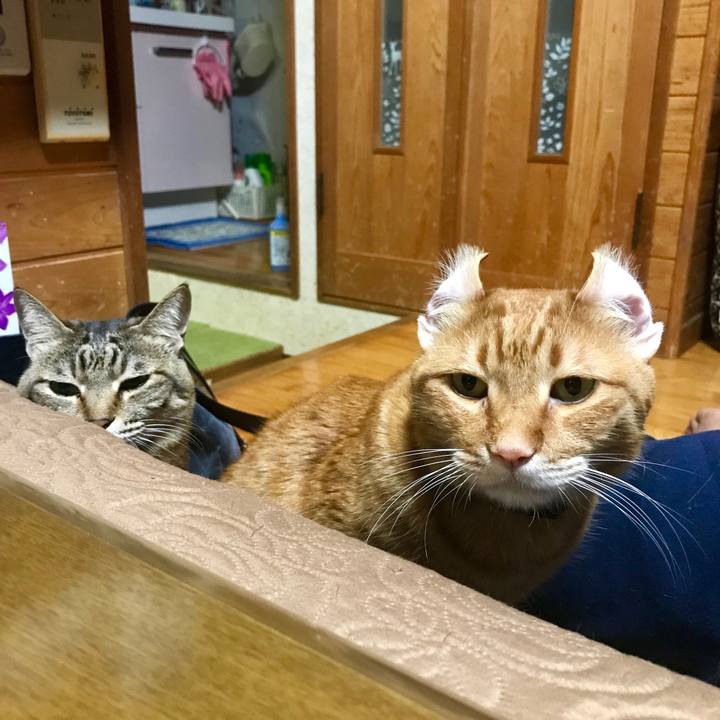 6b7d03b0 ae68 4e0f b0a7 8629d5607b06 1551957846715