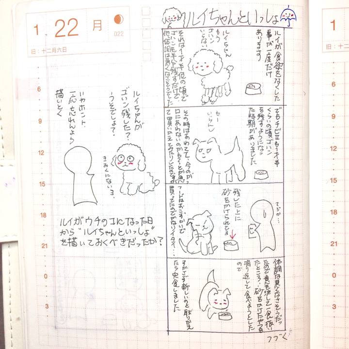 6b7d2443 5687 4f4f beb8 d3777fab2357 1516633893339