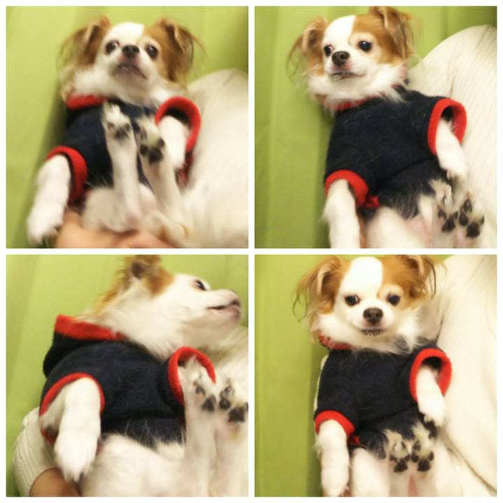 6b7d51c5 50ad 4f4c 92ad 643b035bb1f4 1546945545649