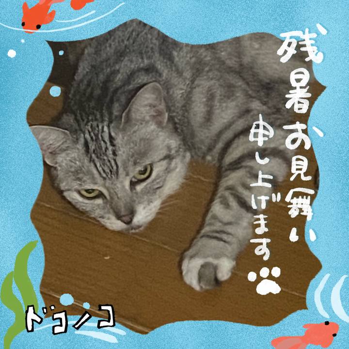 6b7d61bb d900 4ff3 90bc 58099f58d54e 1723713655877