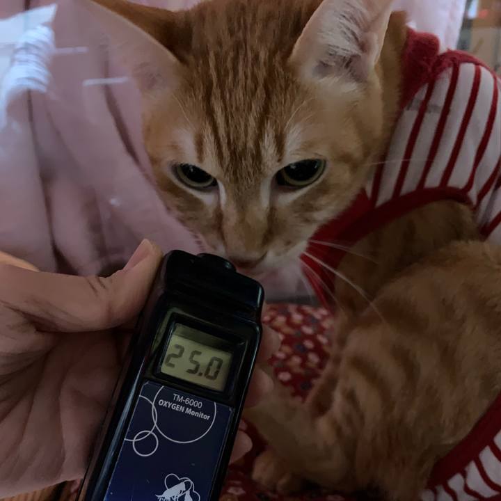 6b7d763e 4332 4217 818e 9e5cc51497a0 1579096022356