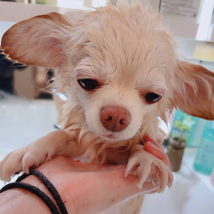 6b7da4a7 67dd 4c40 a7c1 6c363235e38c 1765886222920