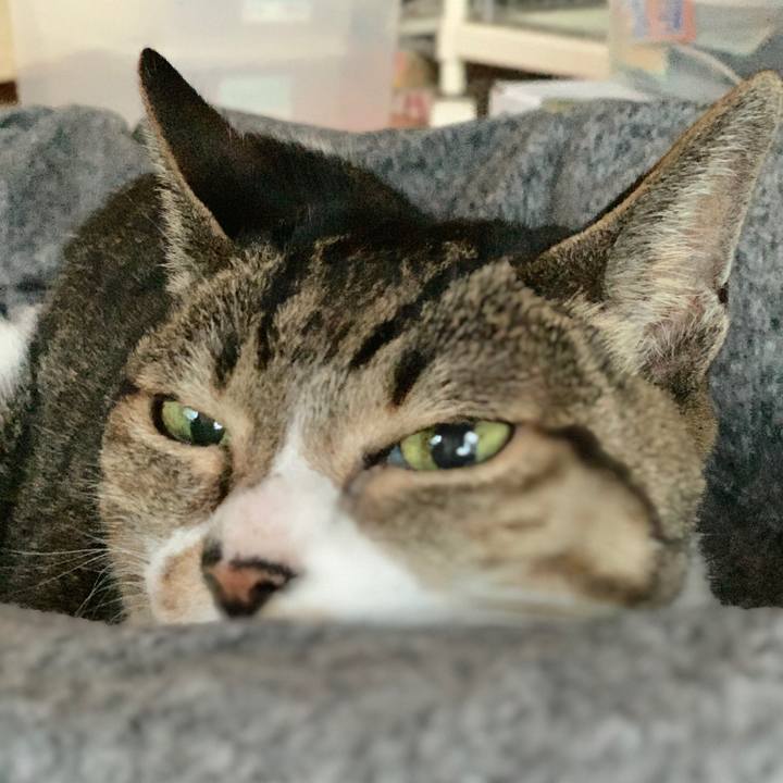 6b7db757 a181 4484 985d eddce393df98 1576544263985