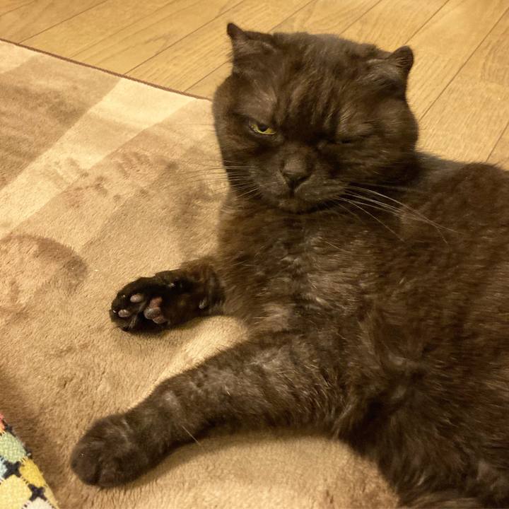 6b7de6fc 9134 436e 8b18 50c3c015cb12 1609694476156